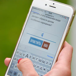 Small 250 dsc 3183  st 15