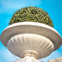 Small 250 dsc 1136 st 6