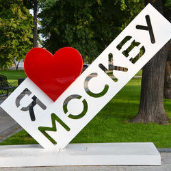 Small 250 dsc 1116 st 4