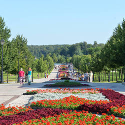 Small 250 dsc 2888 st 13