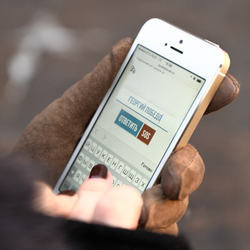 Small 250 dsc 2339 st 8