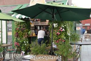 Очаровательные кафешки :) 