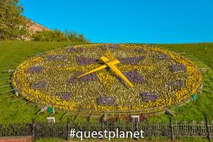 Цветочные часы