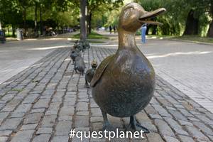 Памятник «Дайте дорогу утятам»