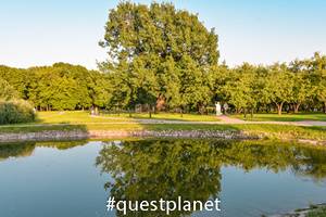 Дубовая роща