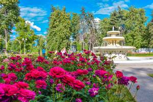 Розарий и фонтан