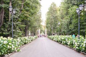 Главный вход в Нескучный сад