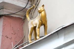 Памятники котам на Малой Садовой улице