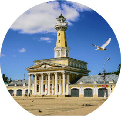 Kostroma hed g