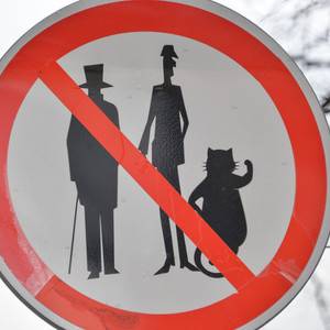 Medium dsc 5622 otz bul