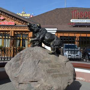 Medium samokhvalova dasha  1