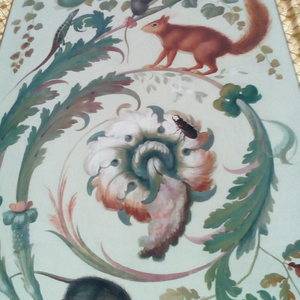 Medium img 20180501 125602