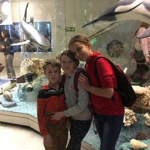 Medium juliabazhina bk.ru darvm