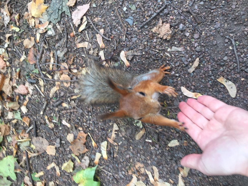 7648f046 921e 426e 9ea5 18ac2cbed9b1