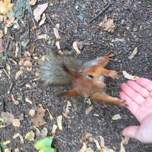 Medium 7648f046 921e 426e 9ea5 18ac2cbed9b1